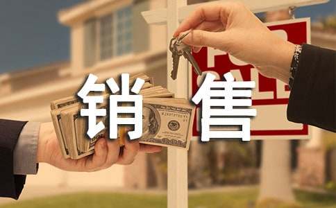 销售员年底冲刺工作计划（精选6篇）